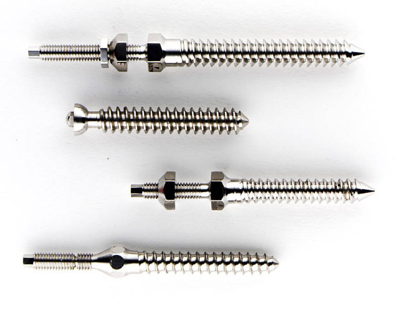 Bone Screws