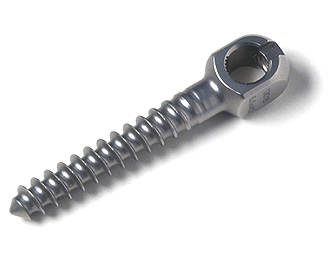 Bone Screws